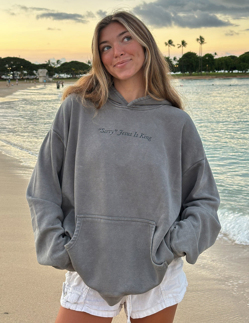 Jesus Is King Hoodie