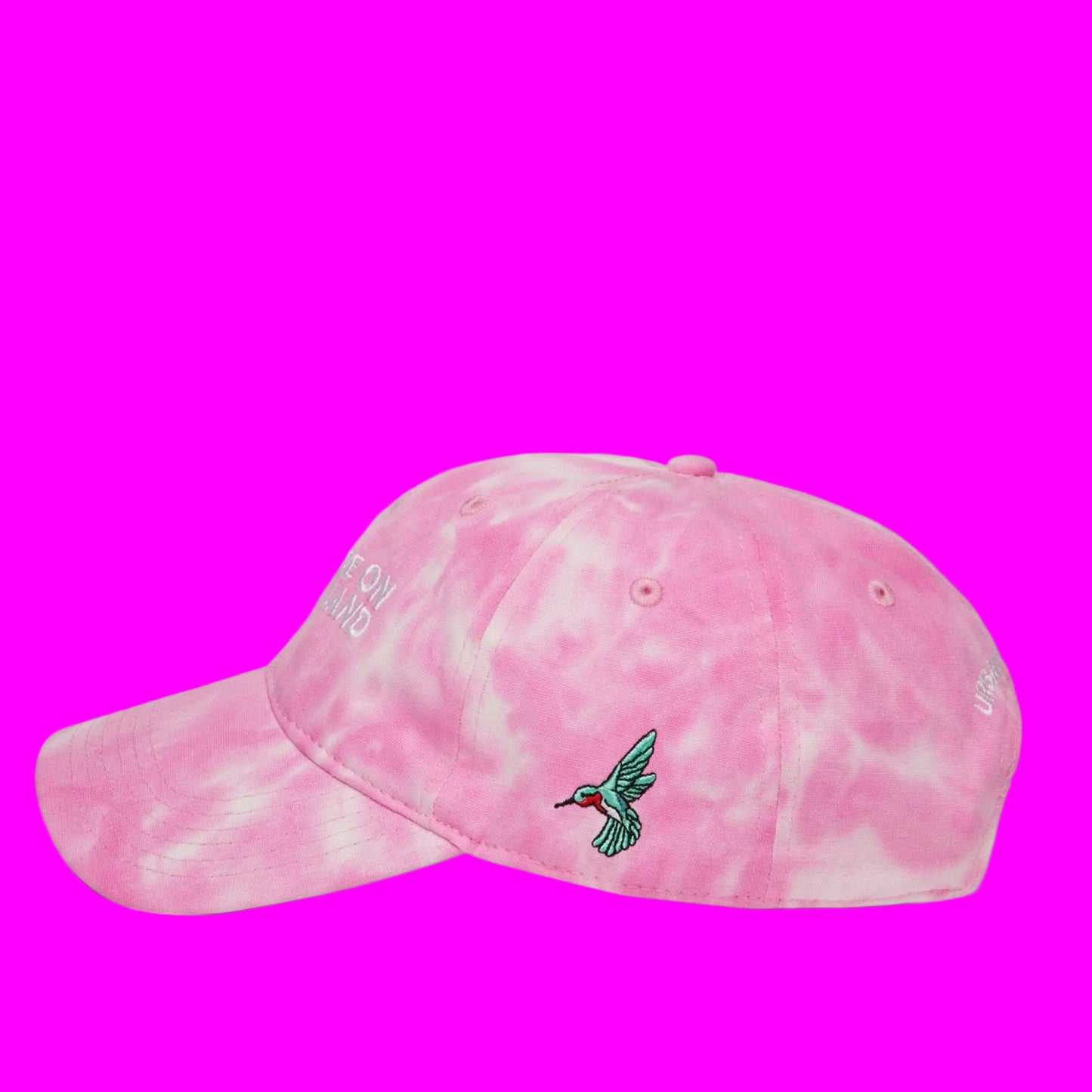 'YOU ARE ON NATIVE LAND' ORGANIC CAP